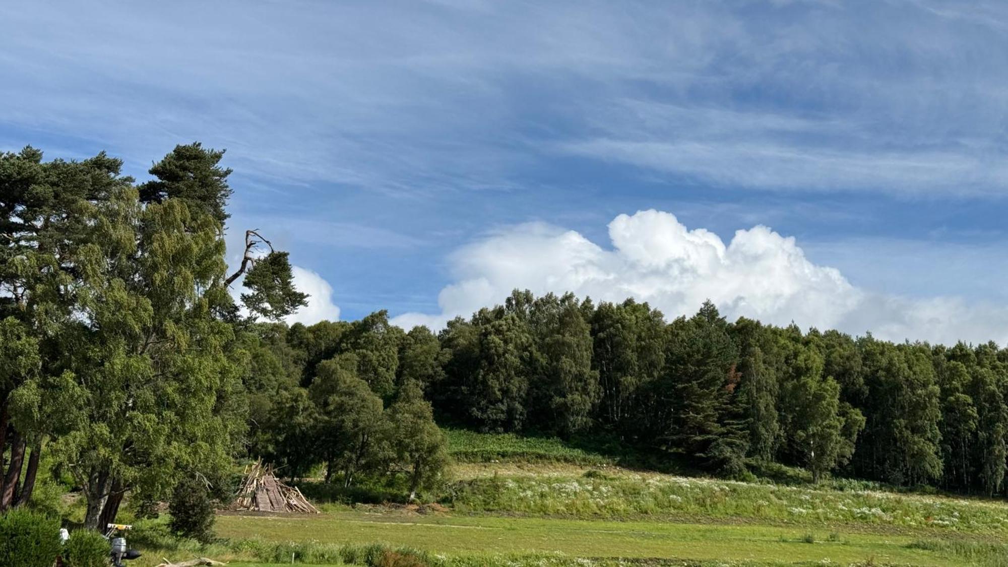 Wildcat Lodge Grantown On Spey Экстерьер фото